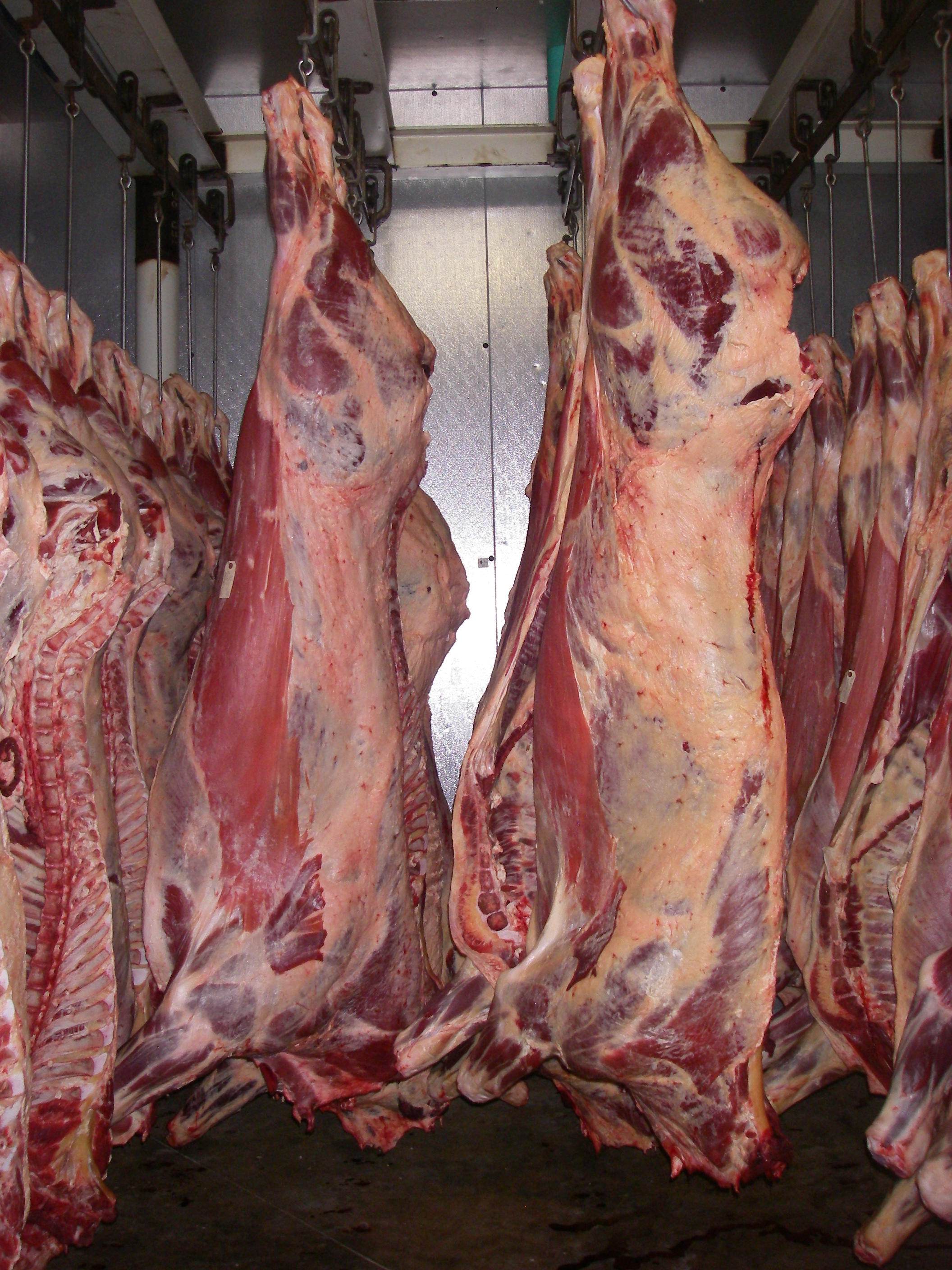 Hanging Beef Picture